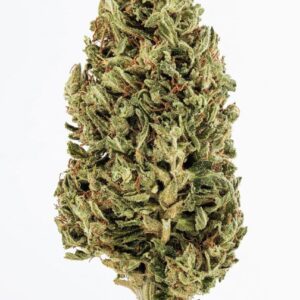 buy jack herer weed