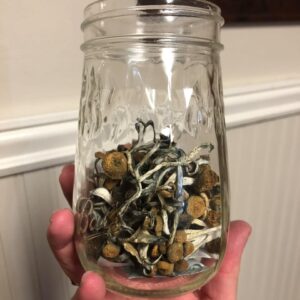 order psilocybin mushrooms singapore